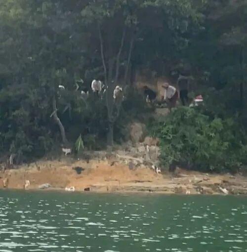 清晨突围战来临，金州勇士围绕社区盾防线松动，质疑声仍在，医务组通报恢复的简单介绍-娱乐平台